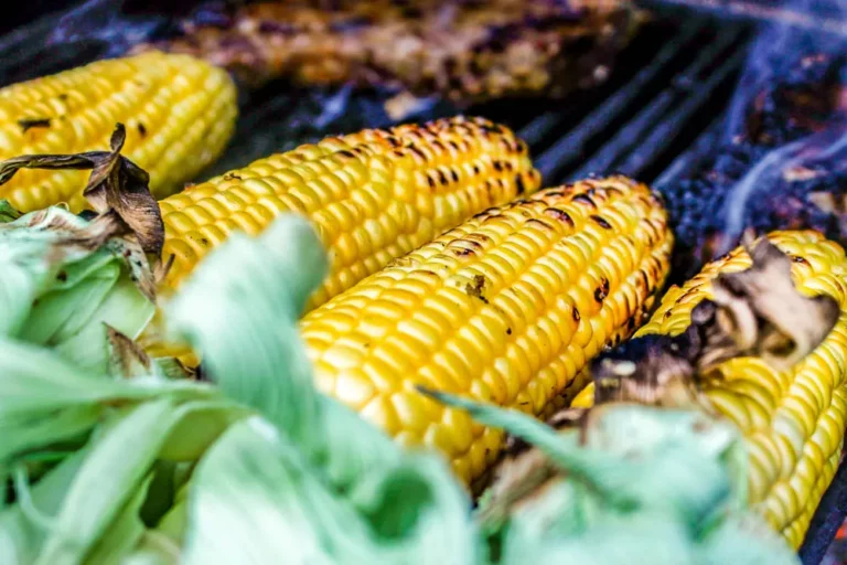 Nord's coal kissed corn on the cob with char marks on the grill grates of a Hasty Bake Charcoal Grill